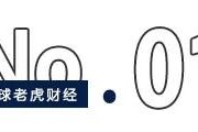 黄冈合锻智能借核聚变概念“狂飙”，大小摩、瑞银三巨头提前“埋伏”